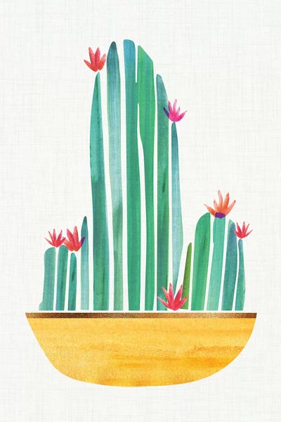 Cacti: Tiny Cactus Blossoms II by Modern Tropical