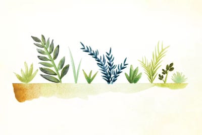 Tiny Garden Watercolor by Modern Tropical canvas print