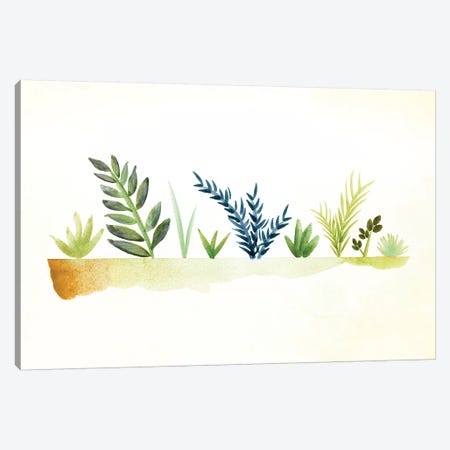 Tiny Garden Watercolor Canvas Print #MTP70} by Modern Tropical Art Print