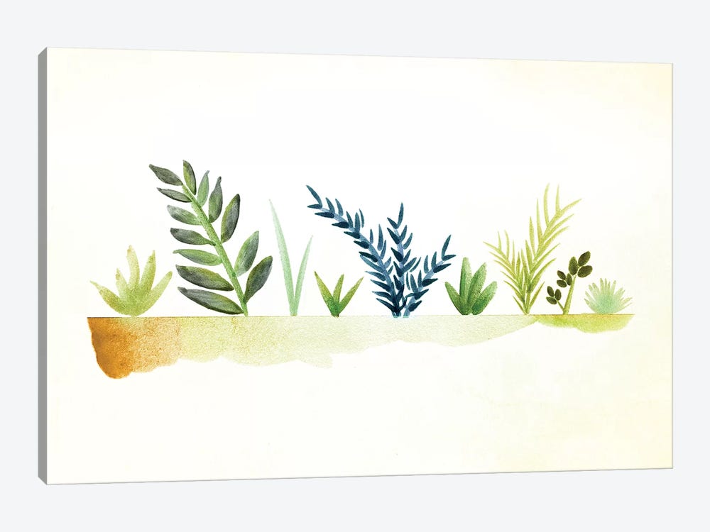 Tiny Garden Watercolor by Modern Tropical 1-piece Canvas Print