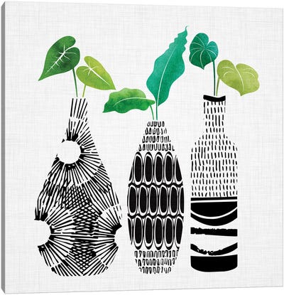 Tribal Vases Trio Canvas Art Print - Tropical Décor