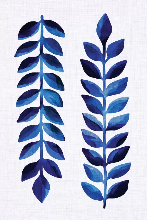 Tropical Indigo