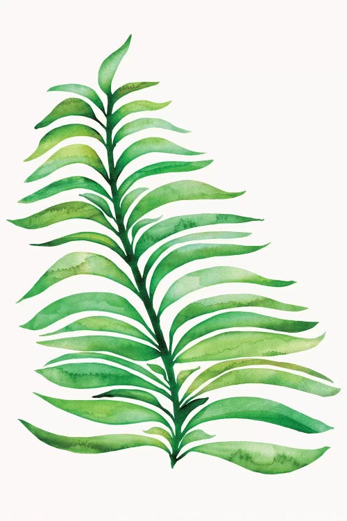 Tropical Leaf Print