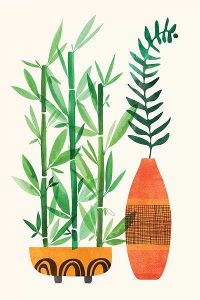 Bamboo: Bamboo and Fern by Modern Tropical