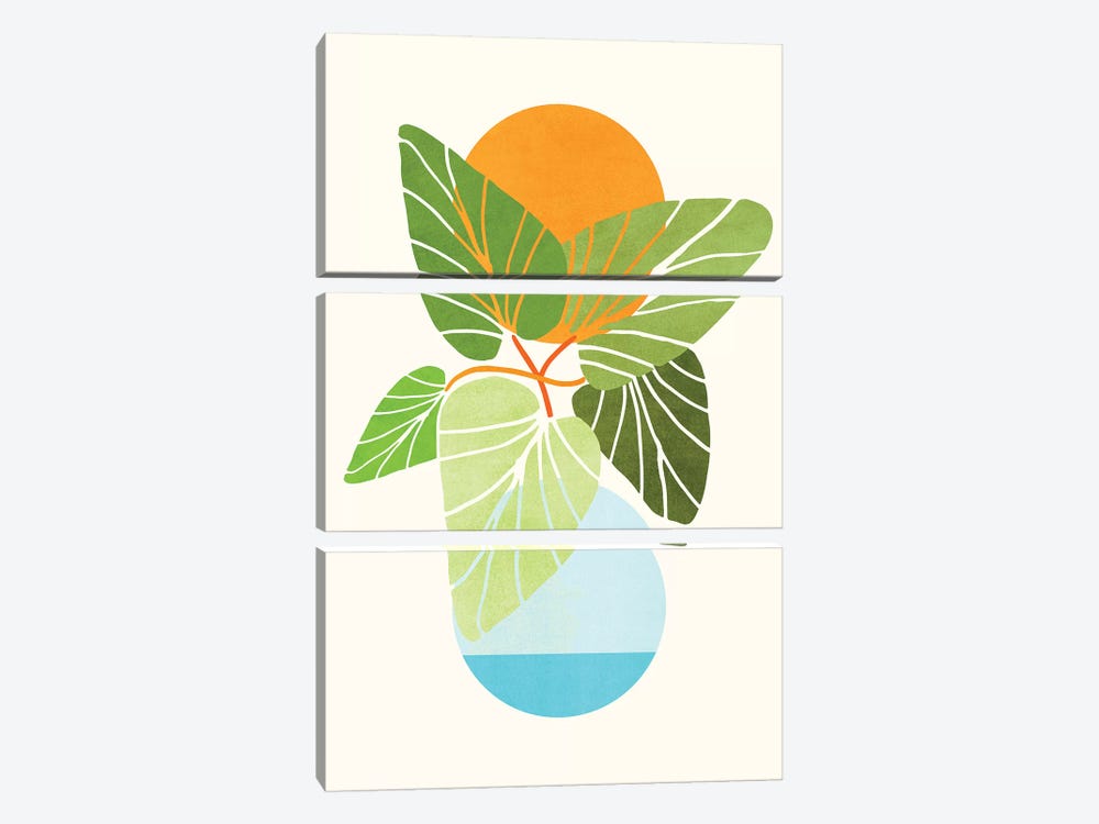 Tropical Symmetry II by Modern Tropical 3-piece Canvas Art