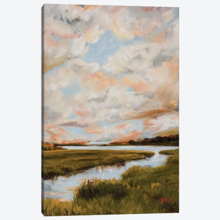 Warm Clouds Over The Marsh Canvas Print #MTT12} by April Moffatt Canvas Print