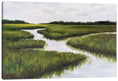 Green Summer Marsh Canvas Art Print - Marsh & Swamp Art