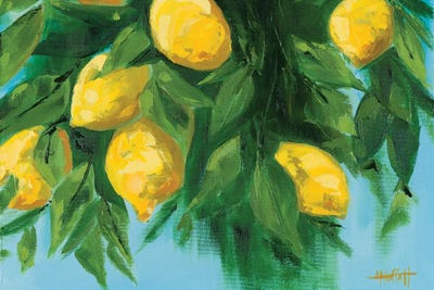 Italian Lemons In The Sun by April Moffatt canvas print