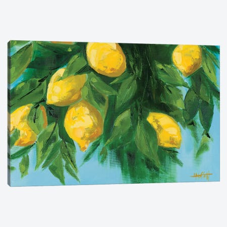 Italian Lemons In The Sun Canvas Print #MTT19} by April Moffatt Canvas Art Print