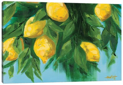Italian Lemons In The Sun Canvas Art Print - April Moffatt
