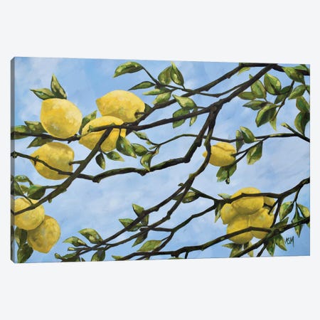 Italian Lemon Branches Canvas Print #MTT20} by April Moffatt Canvas Artwork