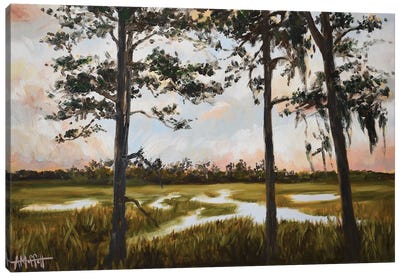 Pines On The Marsh Canvas Art Print - April Moffatt