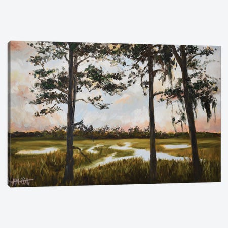Pines On The Marsh Canvas Print #MTT32} by April Moffatt Canvas Art Print