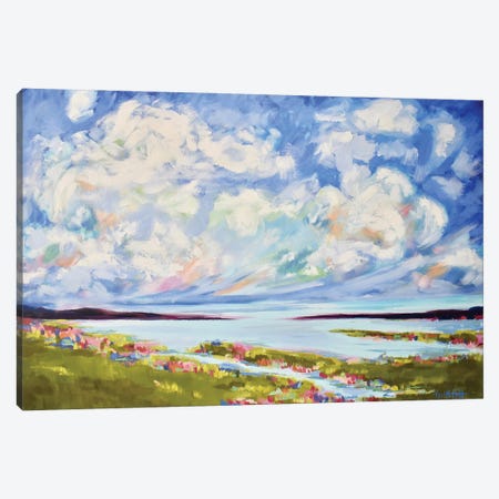 Big Spring Clouds Over The Marsh Canvas Print #MTT34} by April Moffatt Canvas Art