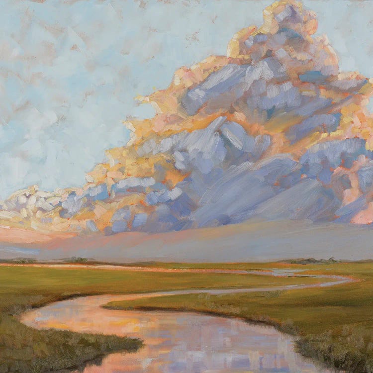 Thunderclouds Over The Marsh