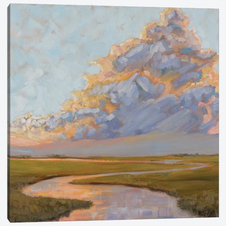 Thunderclouds Over The Marsh Canvas Print #MTT39} by April Moffatt Art Print