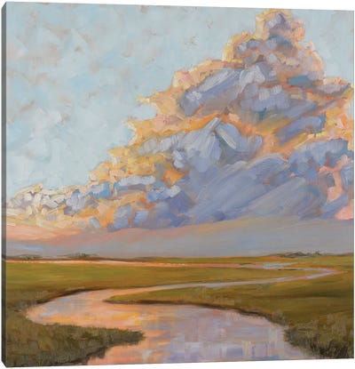 Thunderclouds Over The Marsh Canvas Art Print - Sunrise & Sunset Art