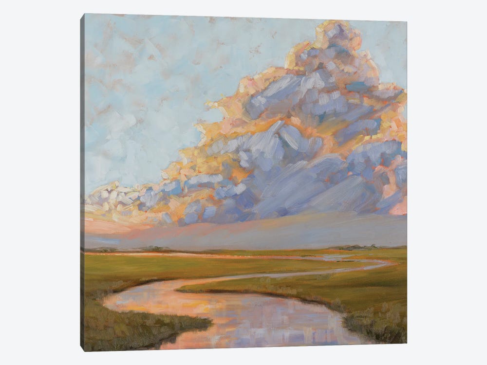 Thunderclouds Over The Marsh by April Moffatt 1-piece Canvas Art Print