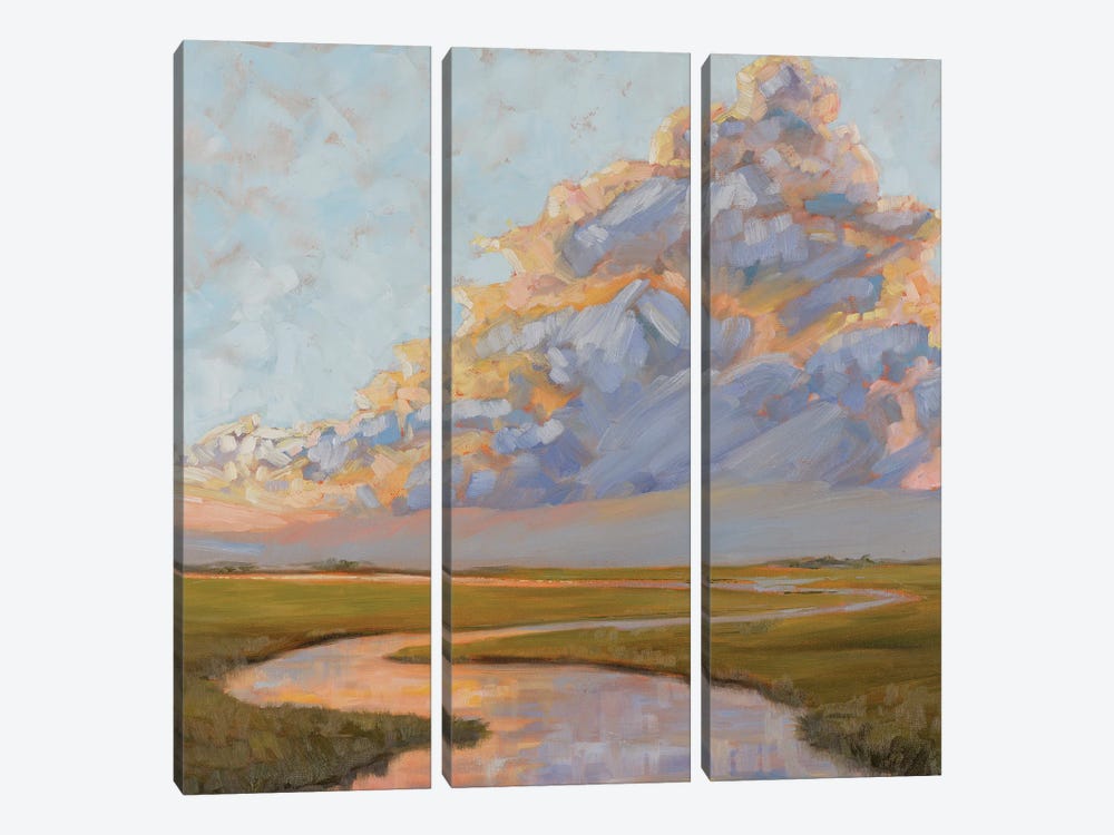 Thunderclouds Over The Marsh by April Moffatt 3-piece Canvas Print