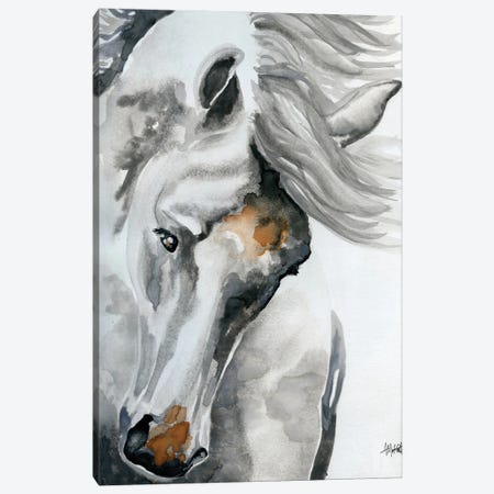 White Horse Tossing His Head Canvas Print #MTT44} by April Moffatt Canvas Art Print
