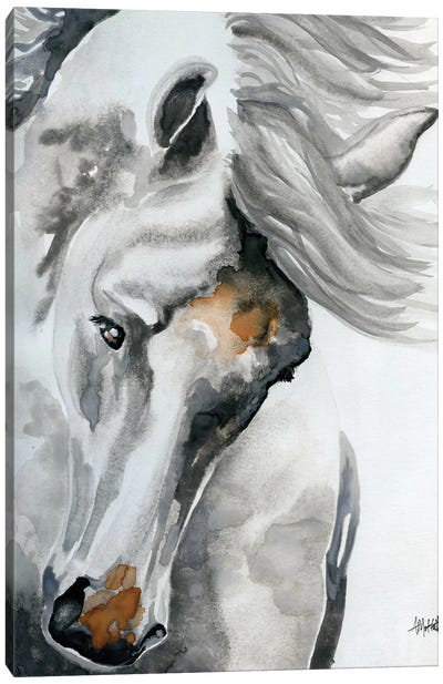 White Horse Tossing His Head Canvas Art Print - Horse Art