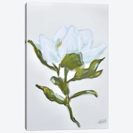 Magnolia II Canvas Print #MTT48} by April Moffatt Canvas Wall Art