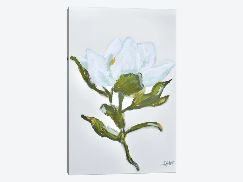 Magnolia II by April Moffatt 1-piece Art Print