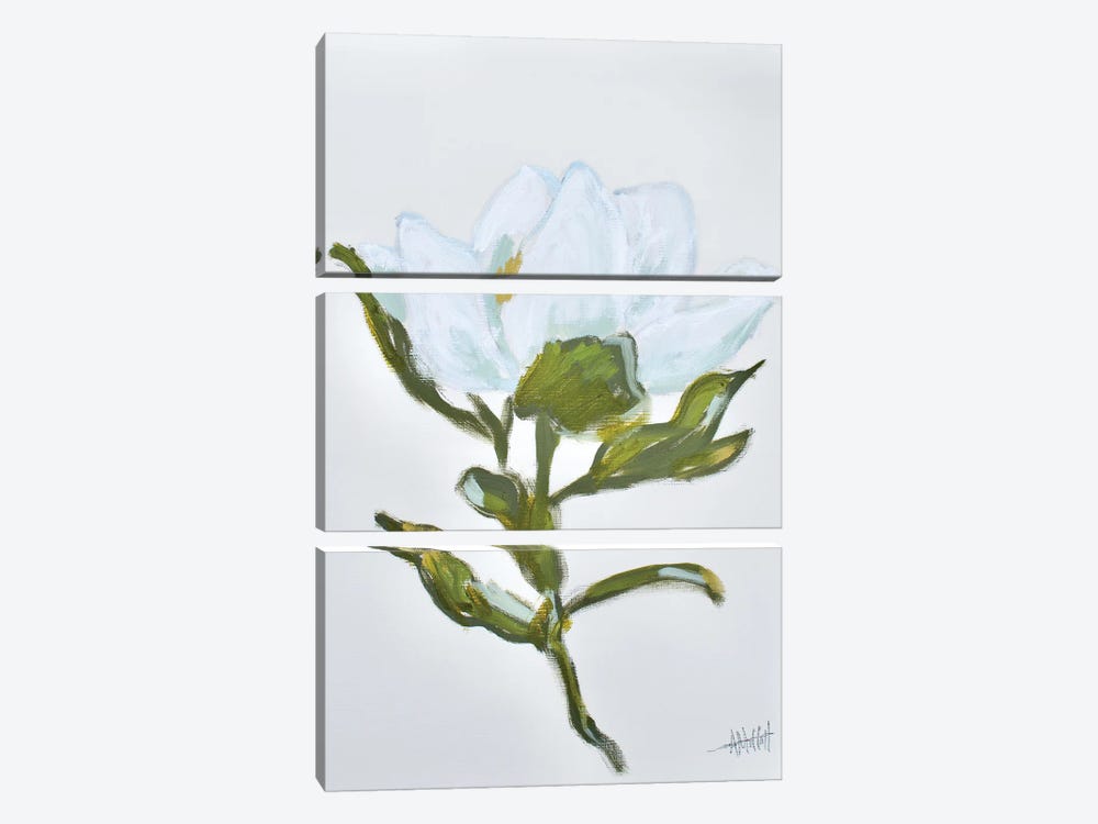 Magnolia II by April Moffatt 3-piece Art Print
