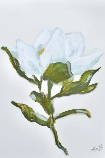 Magnolias: Magnolia II by April Moffatt