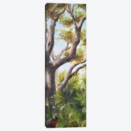 Palms Beneath An Oak Canvas Print #MTT49} by April Moffatt Canvas Wall Art