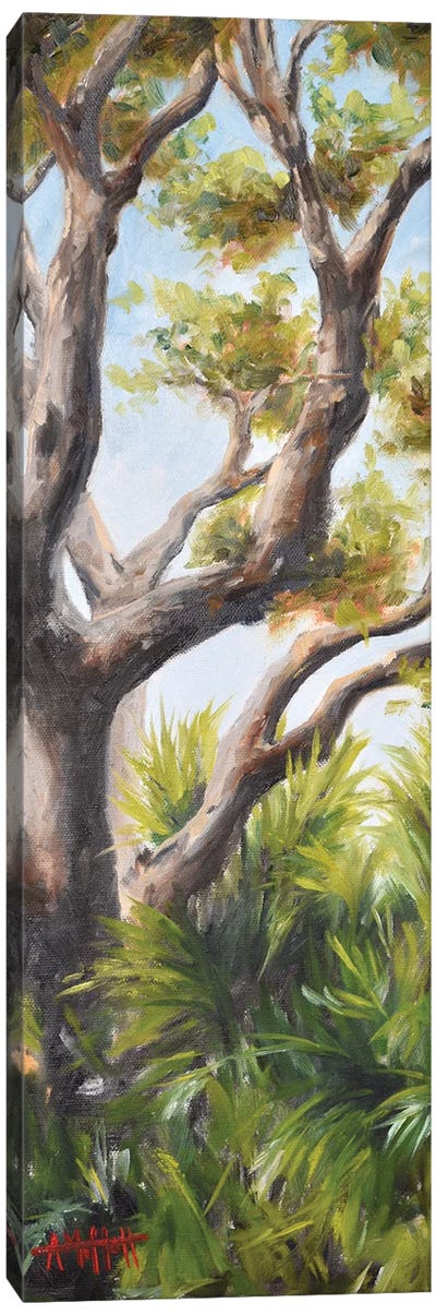Palms Beneath An Oak Canvas Art Print - Oak Tree Art