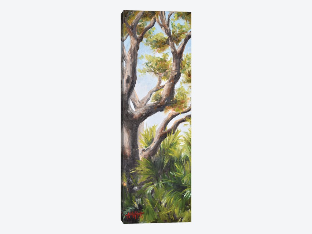 Palms Beneath An Oak by April Moffatt 1-piece Canvas Art