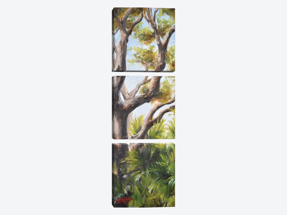 Palms Beneath An Oak by April Moffatt 3-piece Canvas Artwork