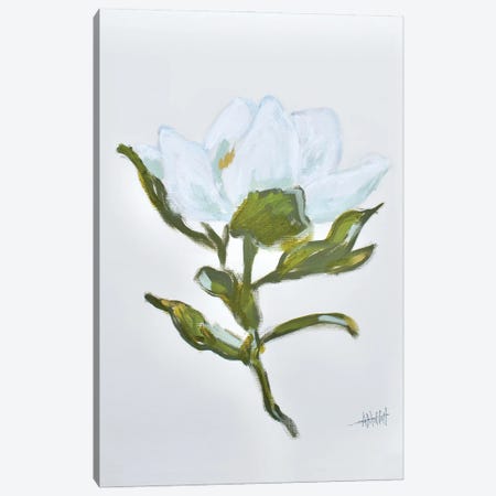 Magnolia - Queen Of The South I Canvas Print #MTT52} by April Moffatt Canvas Art Print
