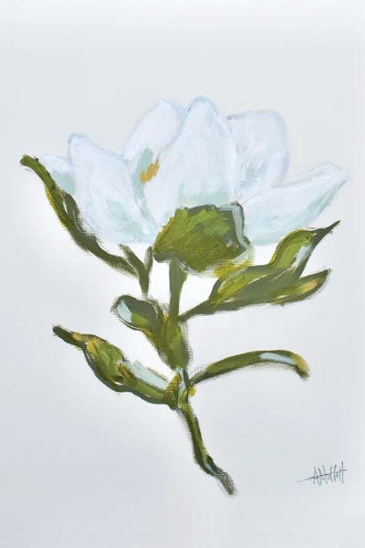 Magnolias: Magnolia - Queen Of The South I by April Moffatt