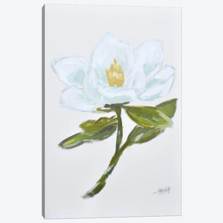 Magnolia - Queen Of The South II Canvas Print #MTT53} by April Moffatt Art Print