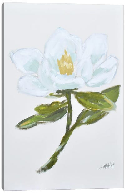 Magnolia - Queen Of The South II Canvas Art Print - April Moffatt