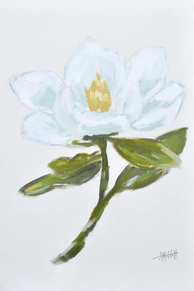 Magnolias: Magnolia - Queen Of The South II by April Moffatt
