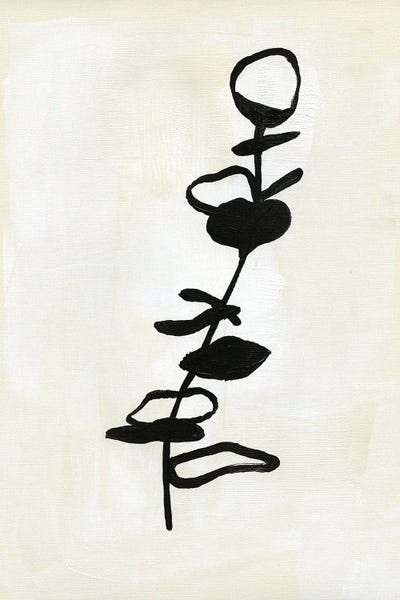 Eucalyptus Outline II