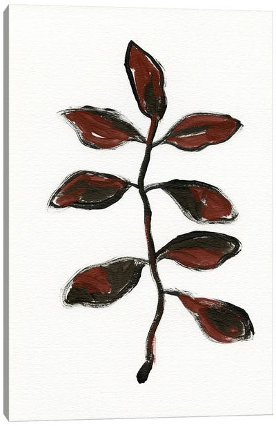 Simple Botanical I Canvas Art Print - April Moffatt