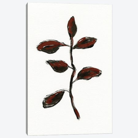 Simple Botanical II Canvas Print #MTT62} by April Moffatt Canvas Artwork