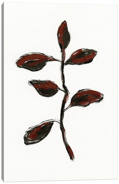 Simple Botanical II Canvas Art Print - April Moffatt