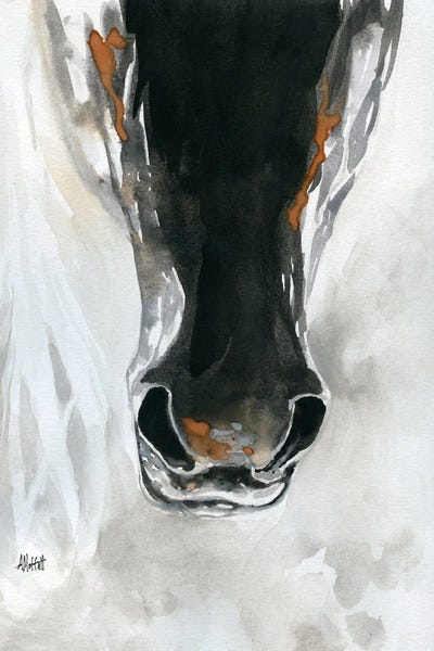 Dark Horse Nose by April Moffatt canvas print