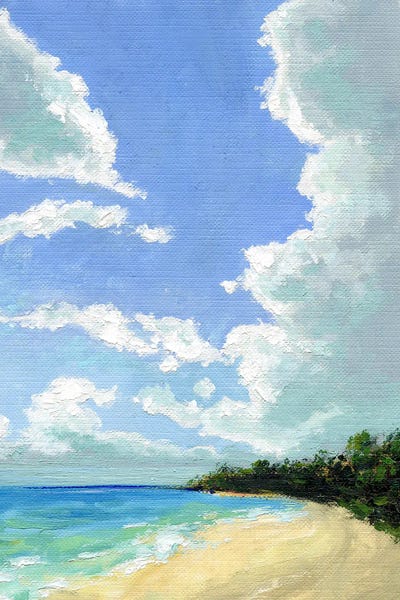 Punta Cana Beach Skyline