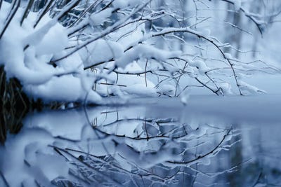 Winter Reflection by Mateusz Piesiak canvas print