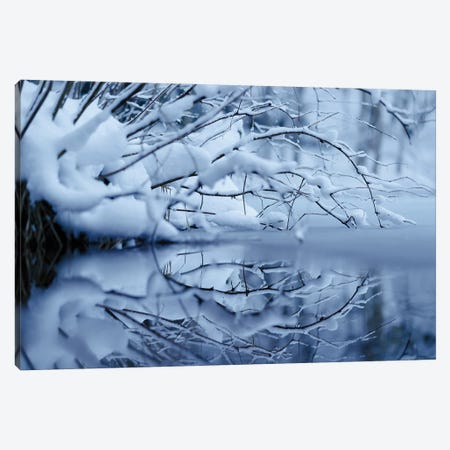 Winter Reflection Canvas Print #MTU116} by Mateusz Piesiak Canvas Art Print