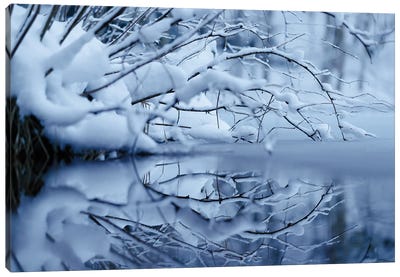 Winter Reflection Canvas Art Print - Mateusz Piesiak
