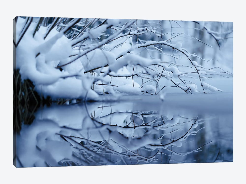 Winter Reflection by Mateusz Piesiak 1-piece Canvas Wall Art