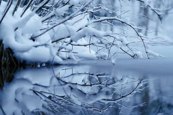 Mateusz Piesiak: Winter Reflection by Mateusz Piesiak