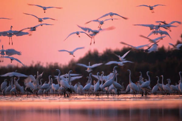 Mateusz Piesiak: Morning Meeting by Mateusz Piesiak